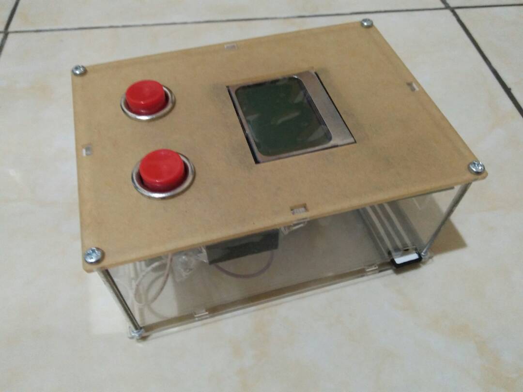 programming raspberry pi